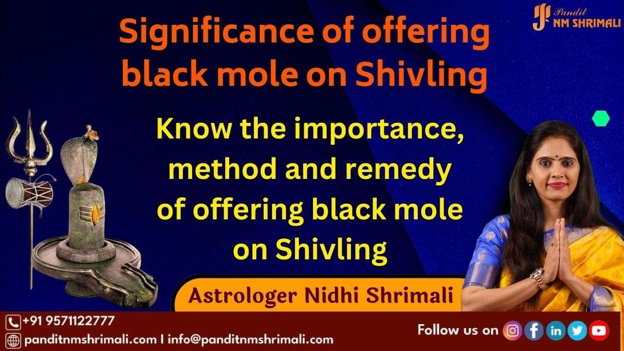 black mole on Shivling