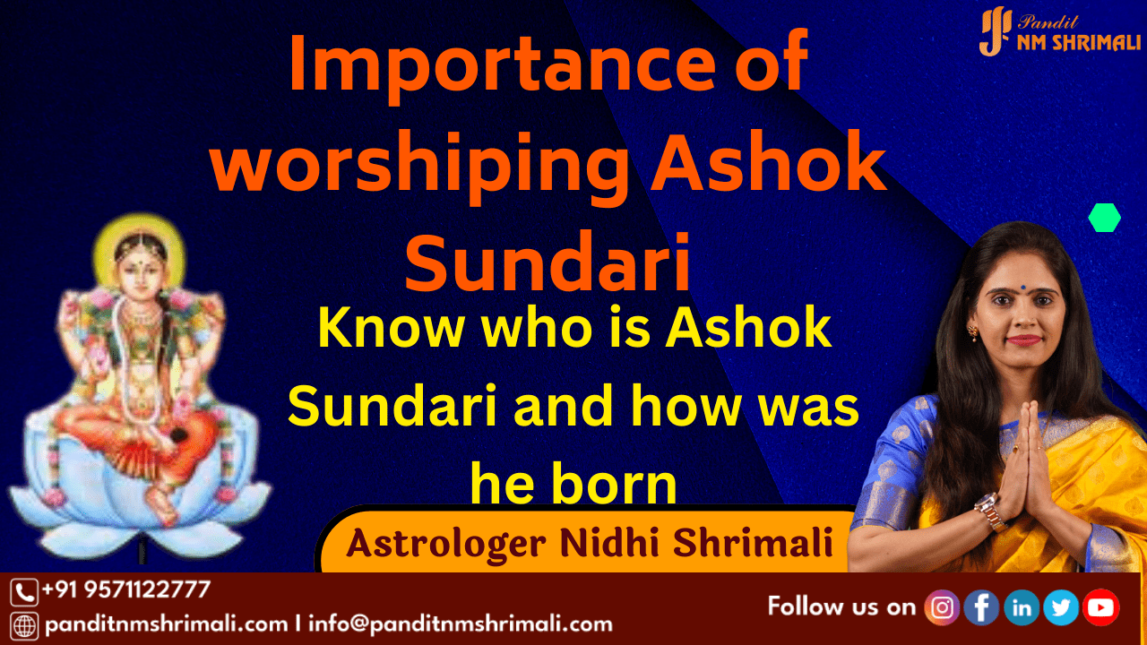 who is Ashok Sundari