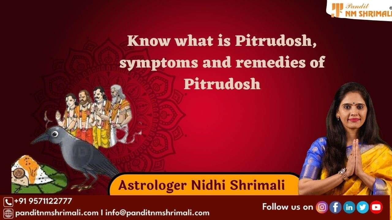 Pitrudosh