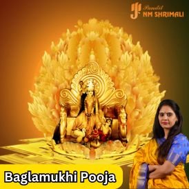 Baglamukhi